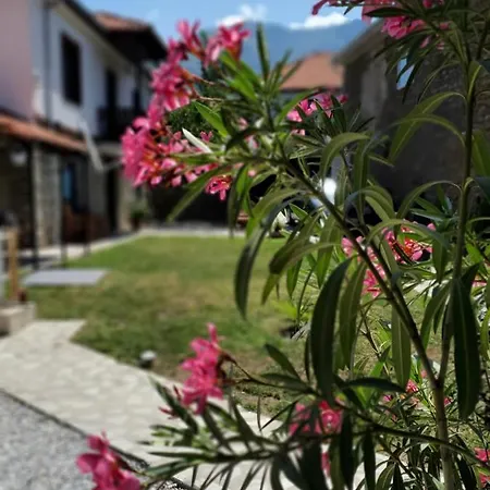 Prespa Dolno Dupeni