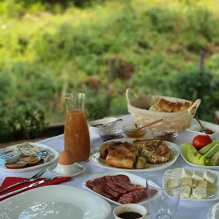 Bed and Breakfast Prespa Dolno Dupeni